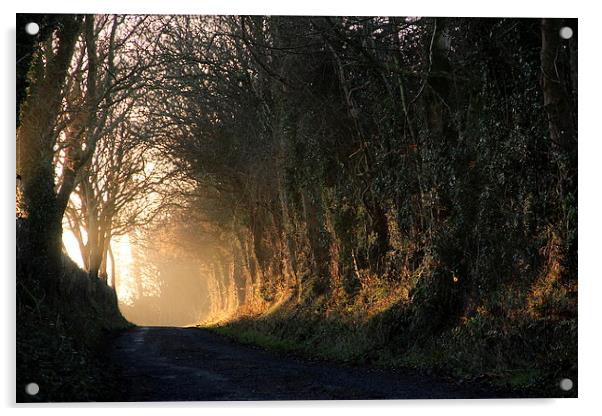  Morning Walk in Cumbria, England Acrylic by Gavin Wilson