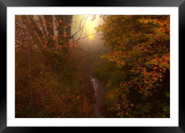  Misty River. Framed Mounted Print by Heather Goodwin