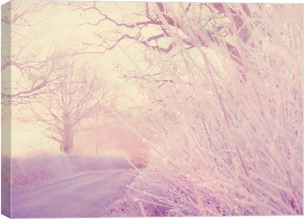  Frosty Hedgerow Canvas Print by Dawn Cox