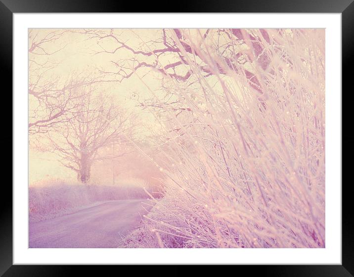  Frosty Hedgerow Framed Mounted Print by Dawn Cox