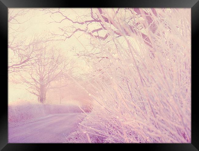  Frosty Hedgerow Framed Print by Dawn Cox