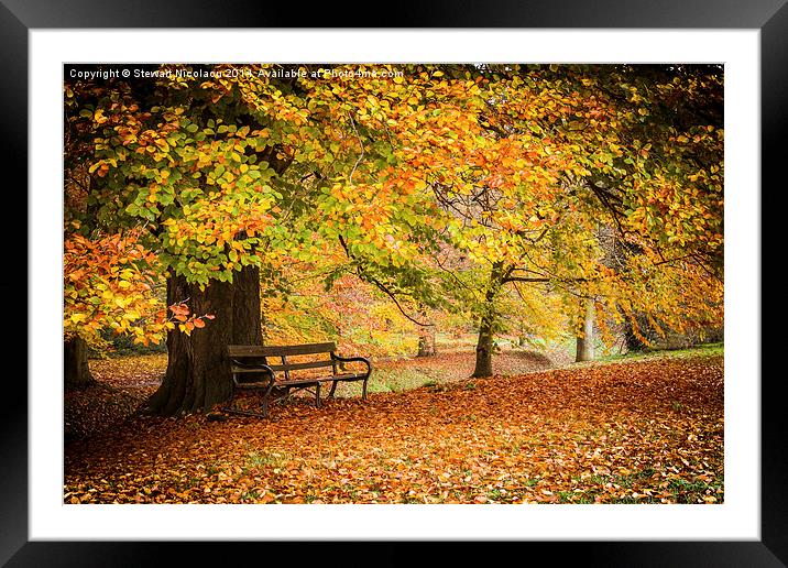  Mote Park Framed Mounted Print by Stewart Nicolaou