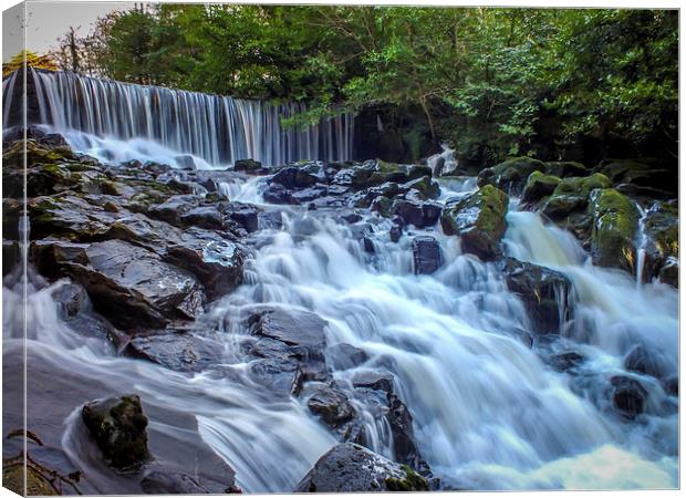 Waterfall, Crumlin Glen, Antrim, N.Ireland Canvas Print by Chris Curry