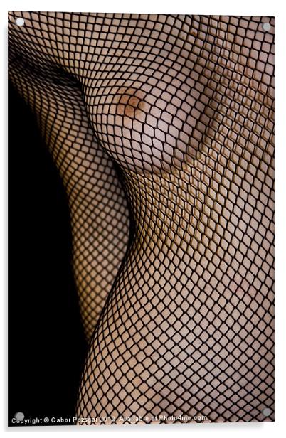 Female torso in net Acrylic by Gabor Pozsgai