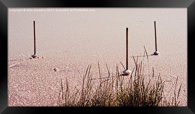 Pink Sea Salt Lake  Framed Print by Mike Marsden