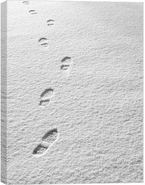 Snowsteps Canvas Print by Victor Burnside