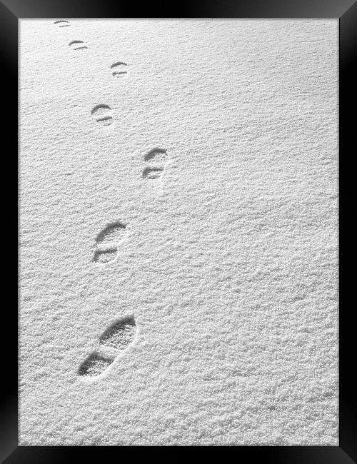 Snowsteps Framed Print by Victor Burnside