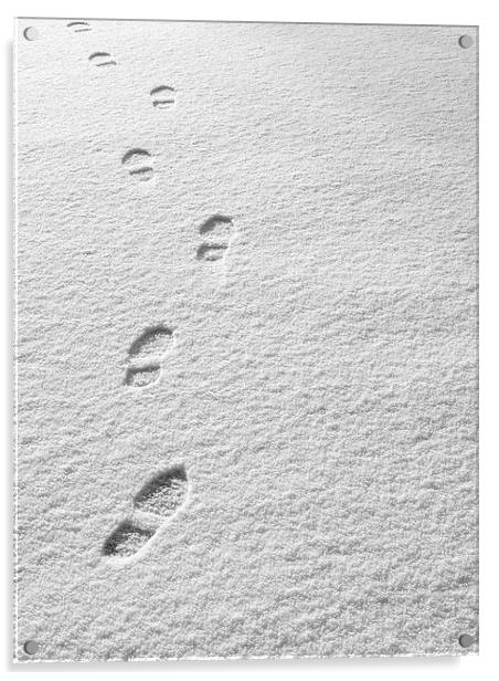Snowsteps Acrylic by Victor Burnside