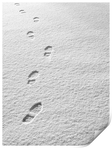Snowsteps Print by Victor Burnside
