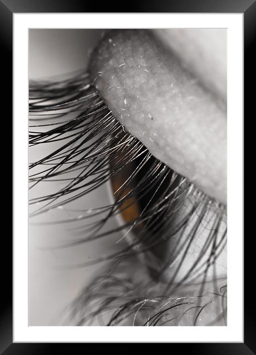 Eye macro Framed Mounted Print by Gabor Pozsgai