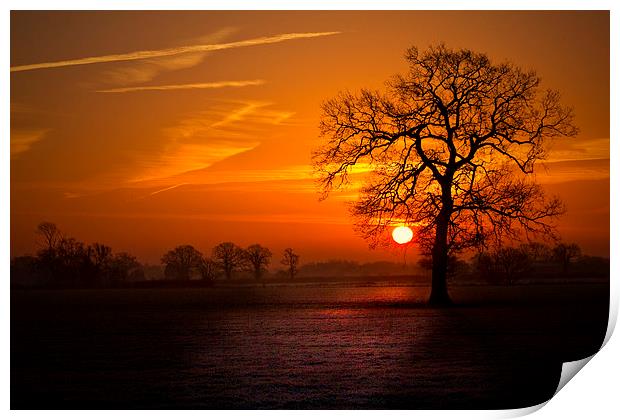 New year Sunrise Print by Darren Burroughs