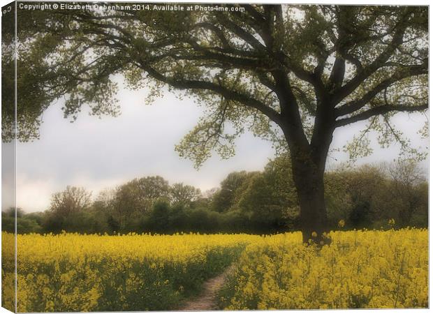 Oak Tree in a Field of Yellow Rapeseed. Canvas Print by Elizabeth Debenham