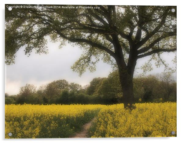 Oak Tree in a Field of Yellow Rapeseed. Acrylic by Elizabeth Debenham