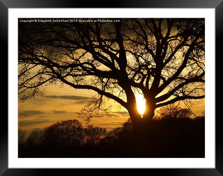 Silhouetted Oak Tree at Sunset Framed Mounted Print by Elizabeth Debenham