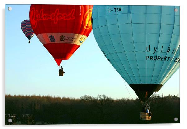  Hot air ballooning Acrylic by Tony Bates