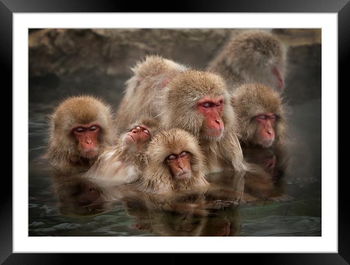Group Snooze Framed Mounted Print by Keith Naylor