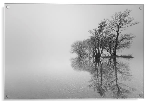  Misty Trees Acrylic by Grant Glendinning