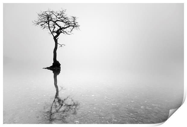 Misty Tree  Print by Grant Glendinning