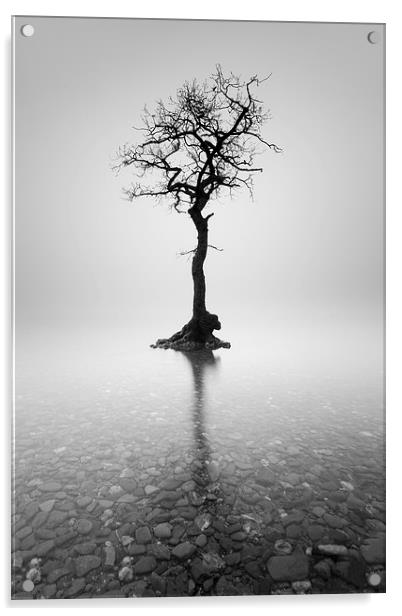  Lone Tree in the mist Acrylic by Grant Glendinning