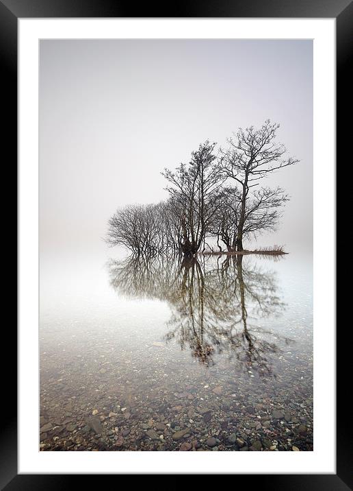 Misty Trees  Framed Mounted Print by Grant Glendinning