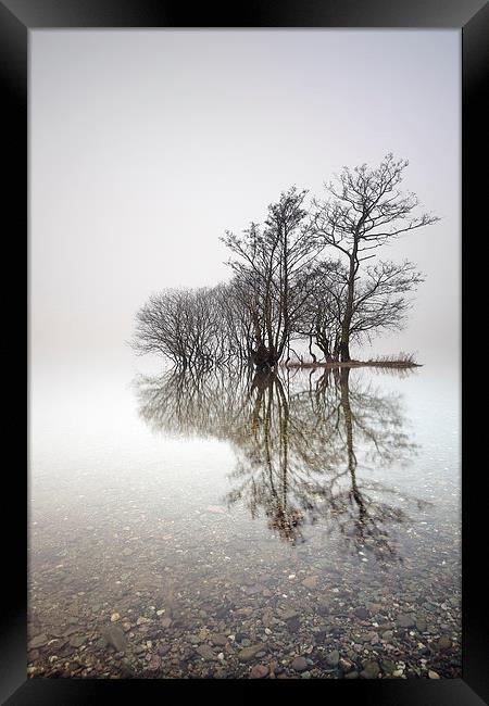 Misty Trees  Framed Print by Grant Glendinning
