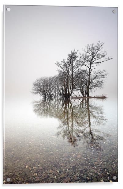 Misty Trees  Acrylic by Grant Glendinning
