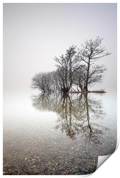 Misty Trees  Print by Grant Glendinning