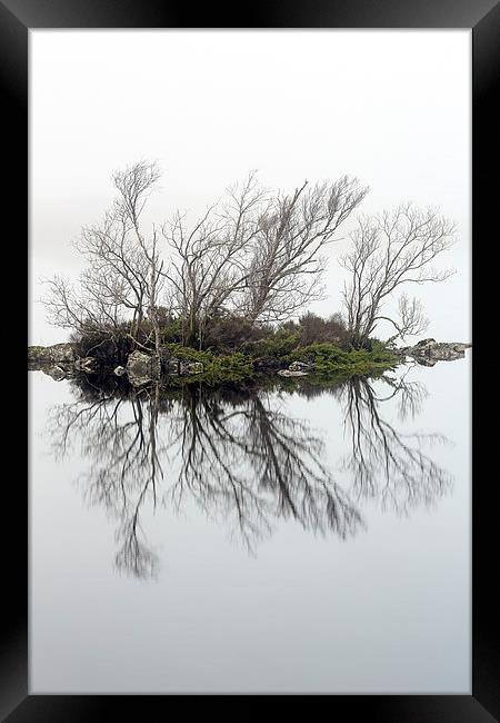  Glencoe trees in the mist Framed Print by Grant Glendinning