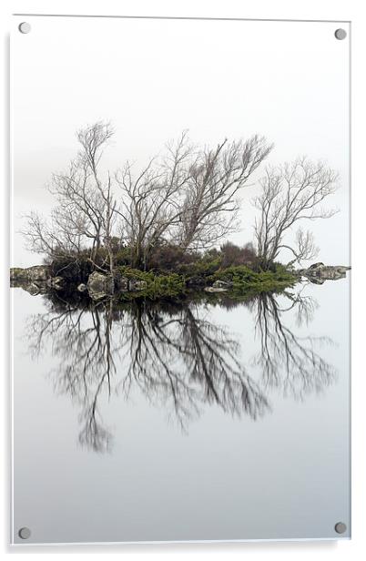  Glencoe trees in the mist Acrylic by Grant Glendinning