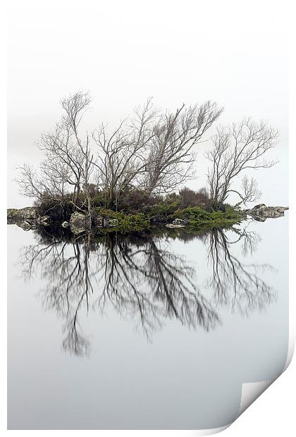  Glencoe trees in the mist Print by Grant Glendinning
