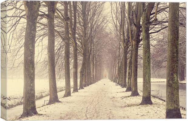  Winter Alley in Rhoon. Holland  Canvas Print by Jenny Rainbow