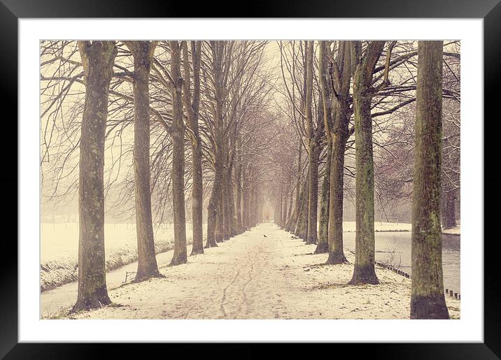  Winter Alley in Rhoon. Holland  Framed Mounted Print by Jenny Rainbow
