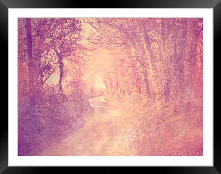  Fairy Dell Framed Mounted Print by Dawn Cox