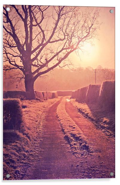 Well lit path  Acrylic by Dawn Cox
