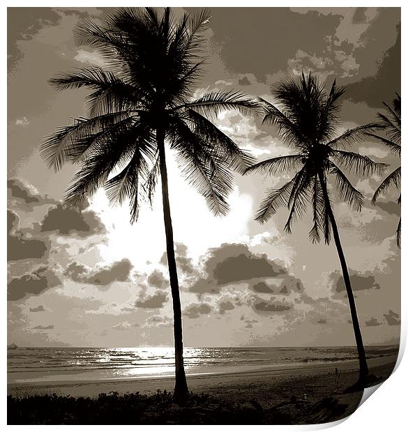  Palm Trees Duo Tone Print by james balzano, jr.