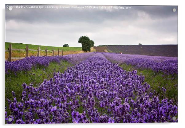  Lavender Field Acrylic by Graham Custance