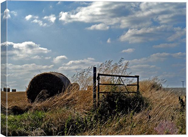 Harvest Canvas Print by val butcher
