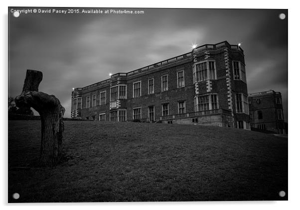  Temple Newsam House Acrylic by David Pacey