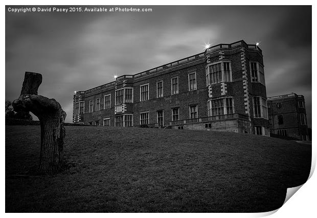  Temple Newsam House Print by David Pacey