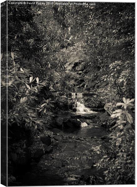  Small Waterfall Canvas Print by David Pacey