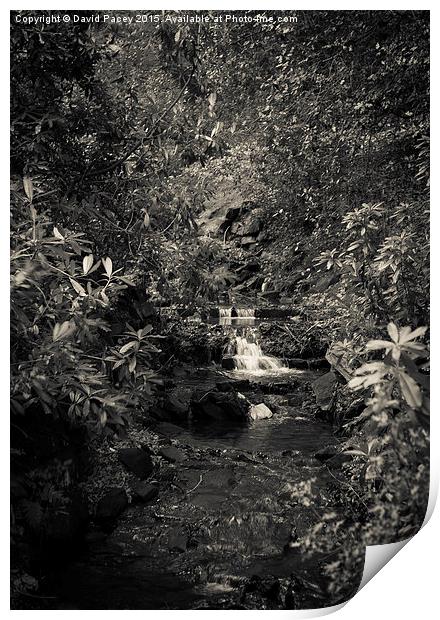  Small Waterfall Print by David Pacey