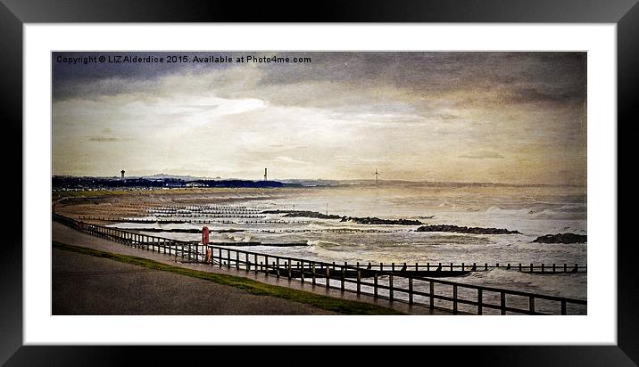  Aberdeen Beach Framed Mounted Print by LIZ Alderdice