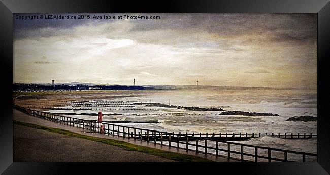  Aberdeen Beach Framed Print by LIZ Alderdice