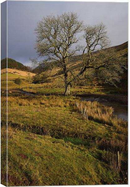 Brecon Beacons National Park in South Wales. An ar Canvas Print by Jonathan Evans