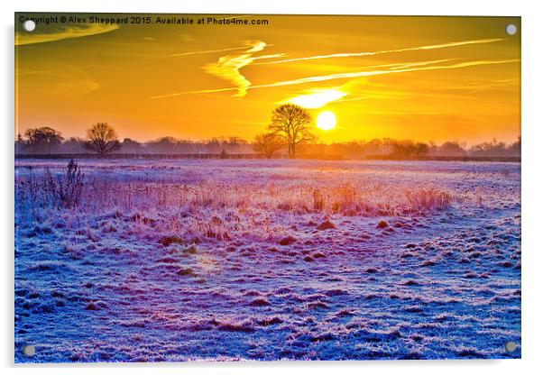  Winter's Morn Acrylic by Alex Sheppard