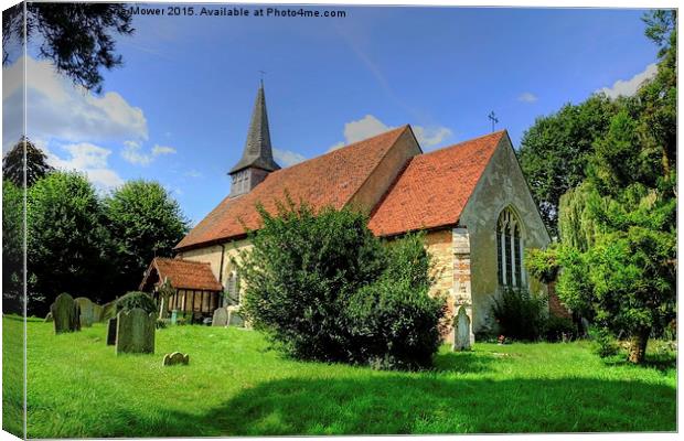 Cressing All Saints  Canvas Print by Diana Mower
