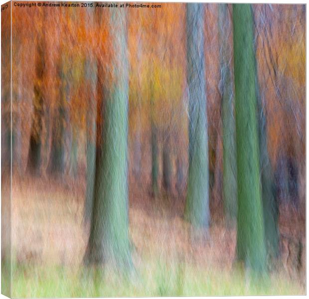  Autumn forest abstract Canvas Print by Andrew Kearton