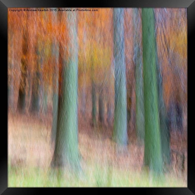  Autumn forest abstract Framed Print by Andrew Kearton