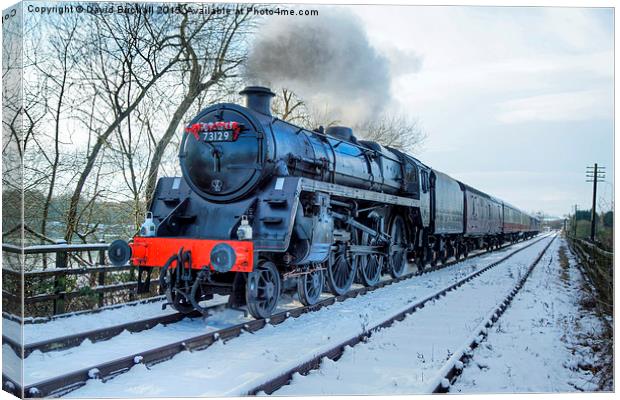  Winter Steam at Butterley Canvas Print by David Birchall