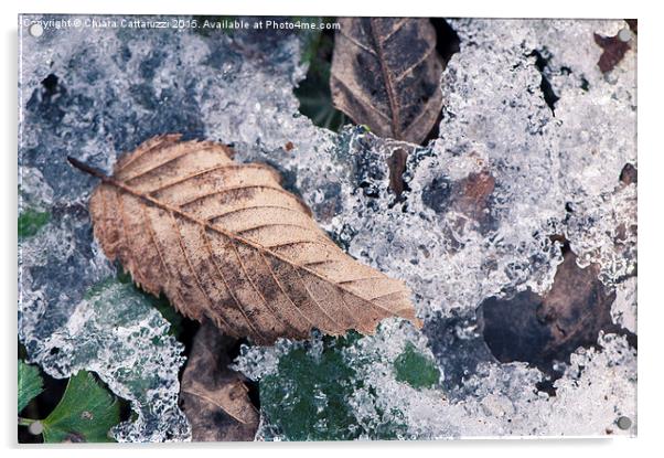  Frozen leaves Acrylic by Chiara Cattaruzzi
